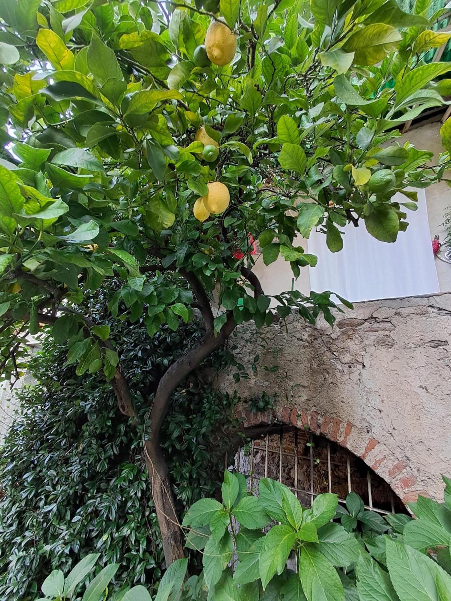 Nonna Anita Panzió Castelveccana Kültér fotó