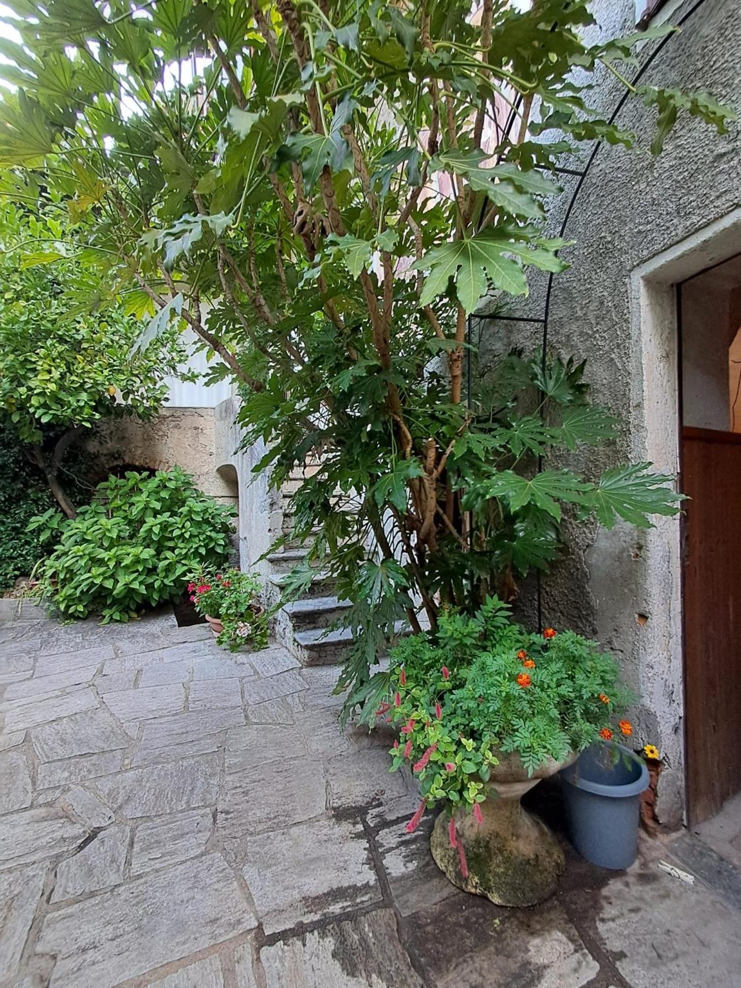 Nonna Anita Panzió Castelveccana Kültér fotó